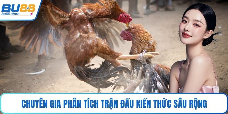 Chuyên gia phân tích trận đấu kiến thức sâu rộng
