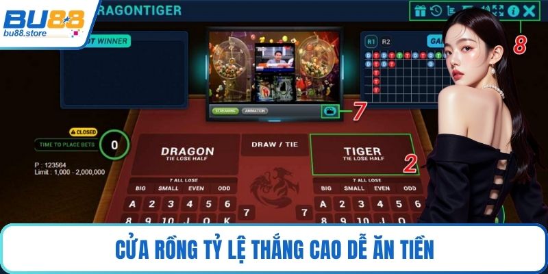 Cửa Rồng tỷ lệ thắng cao dễ ăn tiền