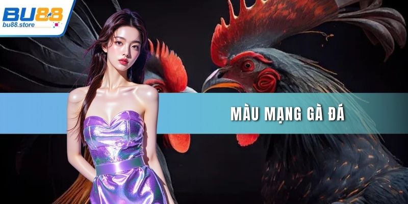 Màu mạng gà đá