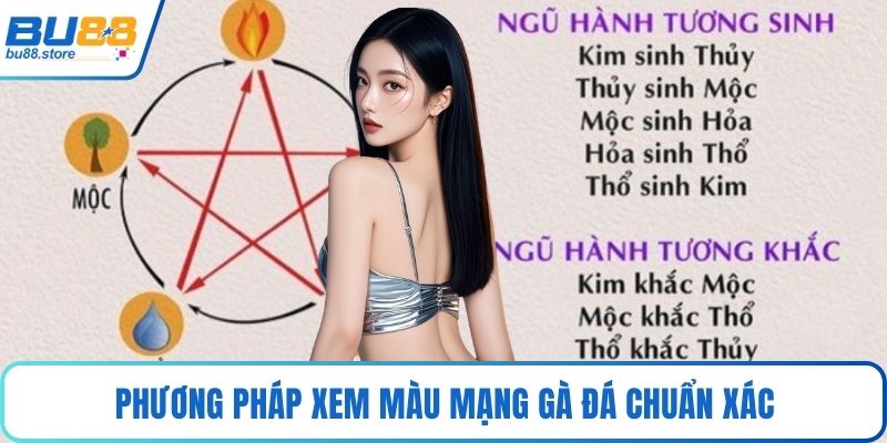 Phương pháp xem màu mạng gà đá chuẩn xác