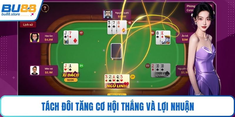 Tách đôi tăng cơ hội thắng và lợi nhuận