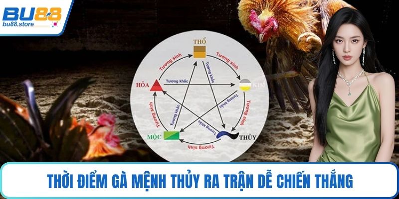 Thời điểm gà mệnh thủy ra trận dễ chiến thắng